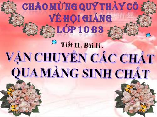 Bài 11. Vận chuyển các chất qua màng sinh chất