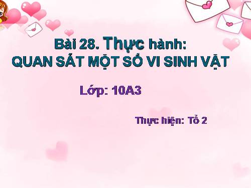 Bài 28. Thực hành: Quan sát một số vi sinh vật