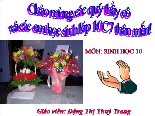 Bài 25. Sinh trưởng của vi sinh vật