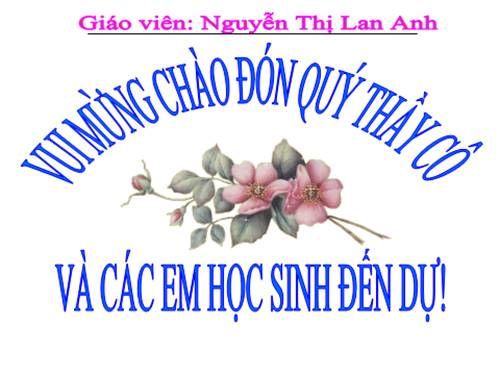 Bài 29. Cấu trúc các loại virut