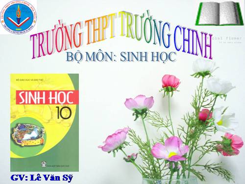 Bài 11. Vận chuyển các chất qua màng sinh chất