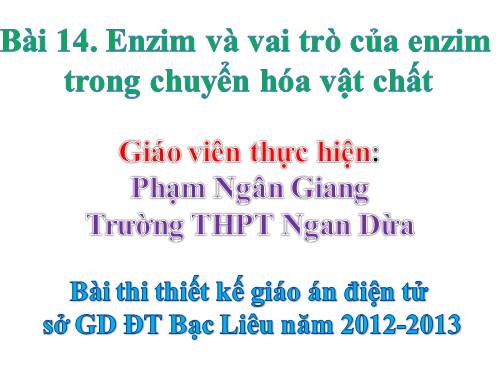 Bài 14. Enzim và vai trò của enzim trong quá trình chuyển hóa vật chất