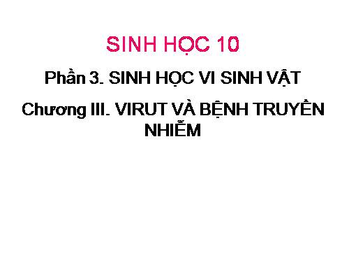 Bài 30. Sự nhân lên của virut trong tế bào chủ