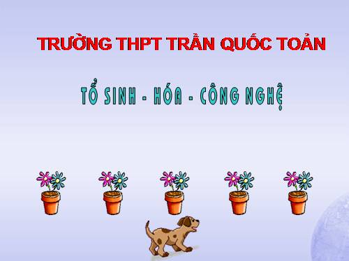 Bài 29. Cấu trúc các loại virut