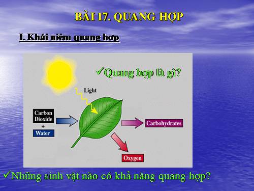 Bài 17. Quang hợp