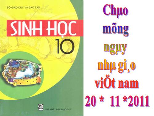 Bài 14. Enzim và vai trò của enzim trong quá trình chuyển hóa vật chất