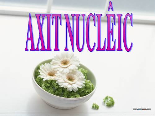 Bài 6. Axit nuclêic