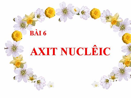 Bài 6. Axit nuclêic