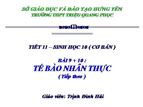 Bài 9. Tế bào nhân thực (tiếp theo)