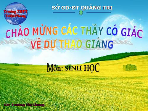 Bài 8. Tế bào nhân thực