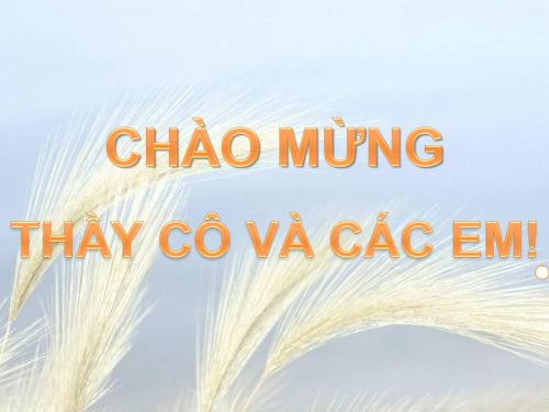 Bài 11. Vận chuyển các chất qua màng sinh chất