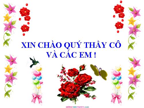 Bài 29. Cấu trúc các loại virut