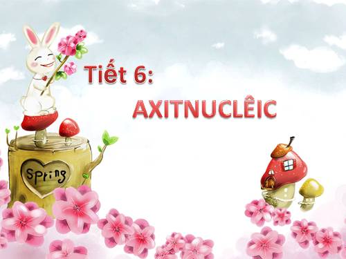 Bài 6. Axit nuclêic