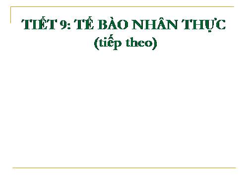 Bài 9. Tế bào nhân thực (tiếp theo)