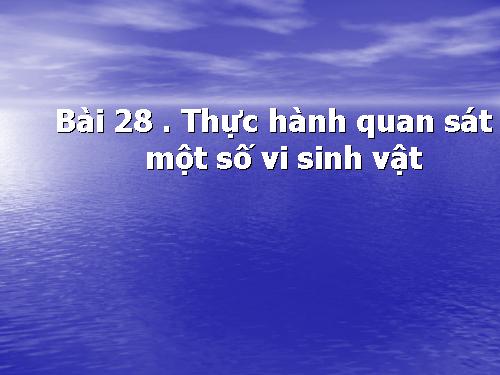 Bài 28. Thực hành: Quan sát một số vi sinh vật