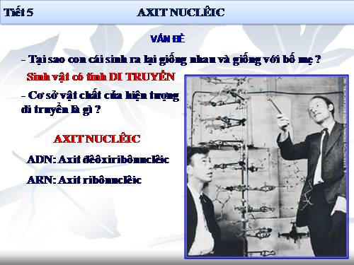 Bài 6. Axit nuclêic