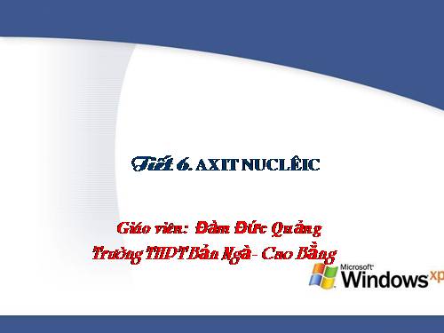 Bài 6. Axit nuclêic