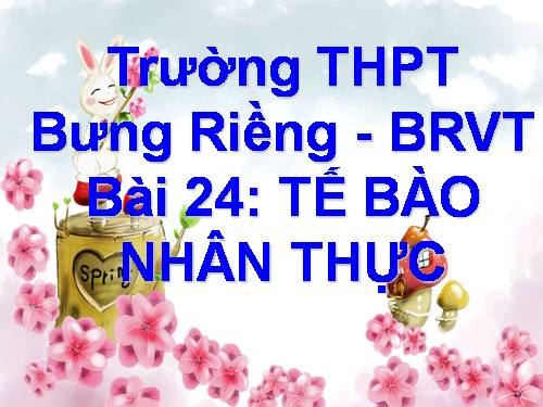 Bài 8. Tế bào nhân thực