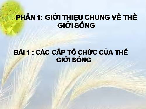 Bài 1. Các cấp tổ chức của thế giới sống