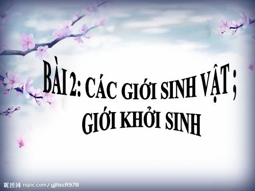 Bài 2. Các giới sinh vật