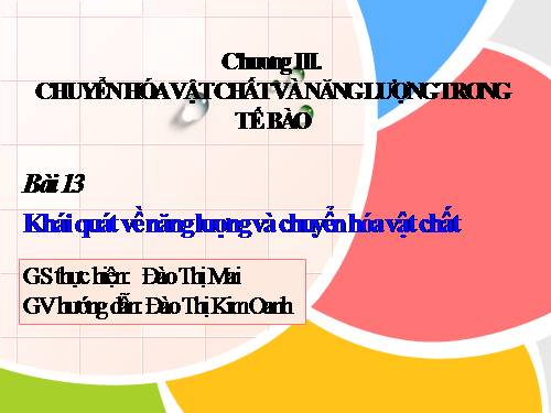 Bài 13. Khái niệm về năng lượng và chuyển hóa vật chất