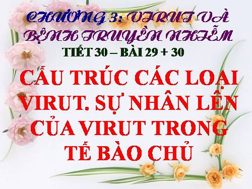 Bài 29. Cấu trúc các loại virut