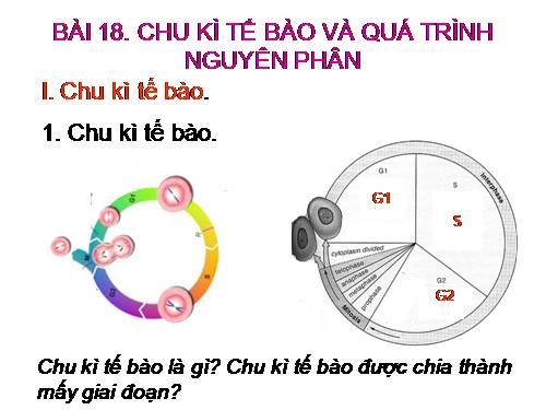 Bài 18. Chu kì tế bào và quá trình nguyên phân