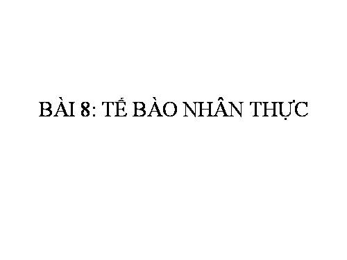 Bài 8. Tế bào nhân thực