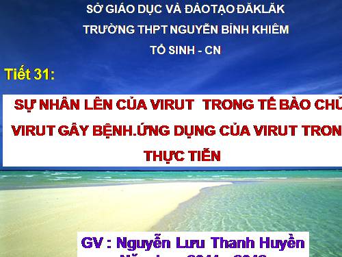 Bài 30. Sự nhân lên của virut trong tế bào chủ