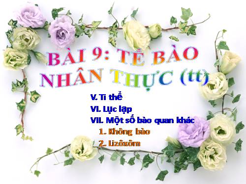 Bài 9. Tế bào nhân thực (tiếp theo)