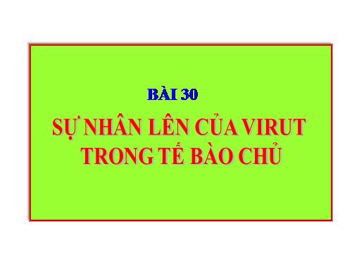 Bài 30. Sự nhân lên của virut trong tế bào chủ