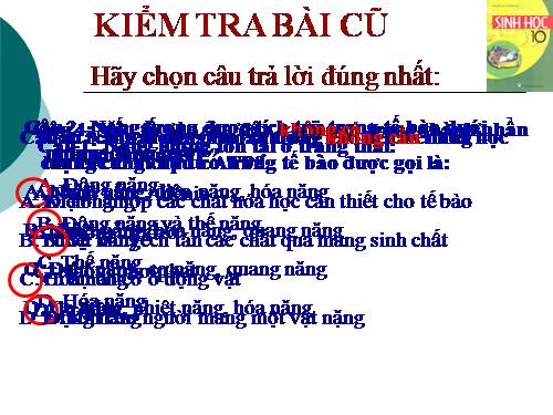 Bài 14. Enzim và vai trò của enzim trong quá trình chuyển hóa vật chất