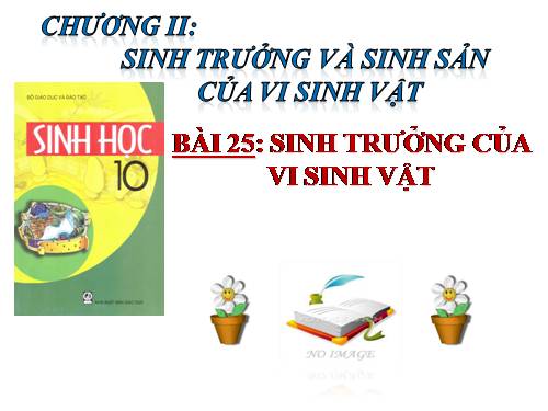 Bài 25. Sinh trưởng của vi sinh vật