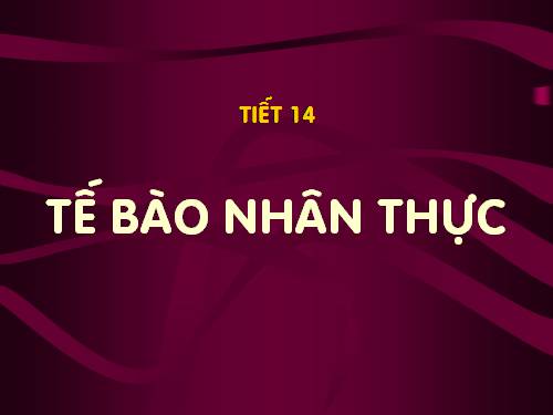 Bài 10. Tế bào nhân thực (tiếp theo)