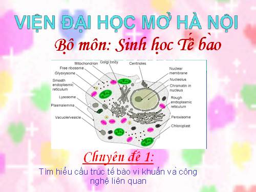 tế bào vi khuẩn và các công nghệ có liên quan