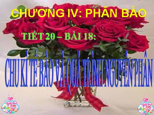 Bài 18. Chu kì tế bào và quá trình nguyên phân