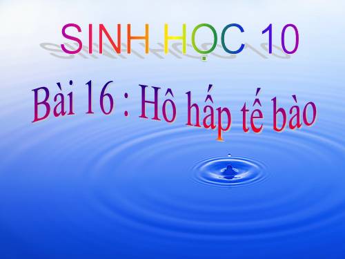 Bài 16. Hô hấp tế bào