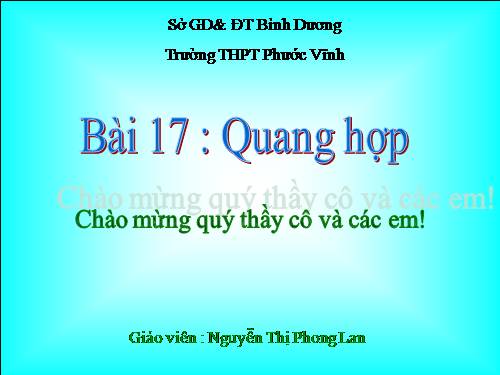 Bài 17. Quang hợp