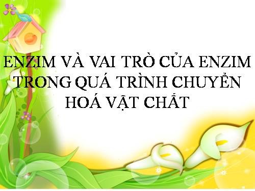 Bài 14. Enzim và vai trò của enzim trong quá trình chuyển hóa vật chất