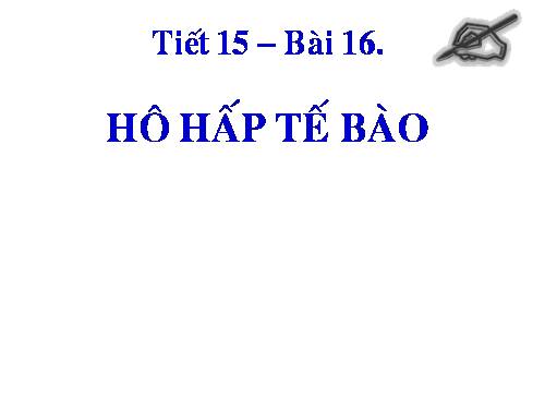 Bài 16. Hô hấp tế bào