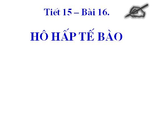 Bài 16. Hô hấp tế bào