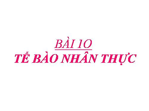 Bài 10. Tế bào nhân thực (tiếp theo)