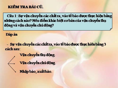 Bài 12. Thực hành: Thí nghiệm co và giảm co nguyên sinh