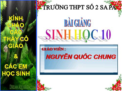 Bài 11. Vận chuyển các chất qua màng sinh chất