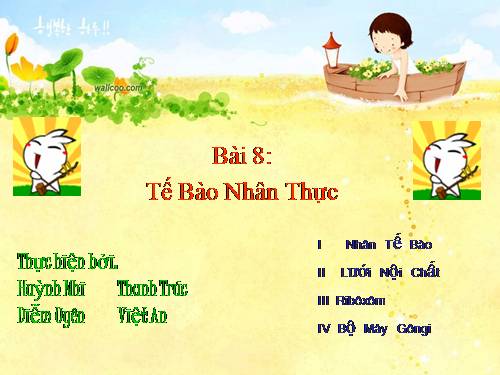 Bài 8. Tế bào nhân thực