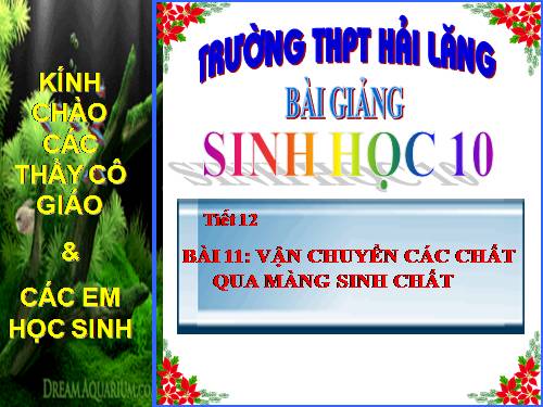 Bài 11. Vận chuyển các chất qua màng sinh chất