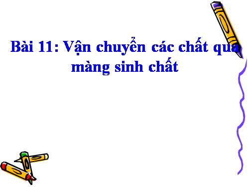 Bài 11. Vận chuyển các chất qua màng sinh chất