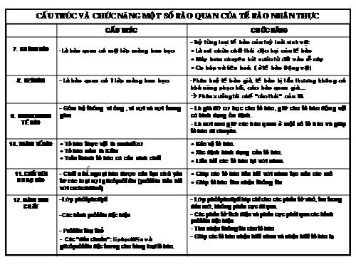 Cấu trúc - chức năng 1 số bào quan 2