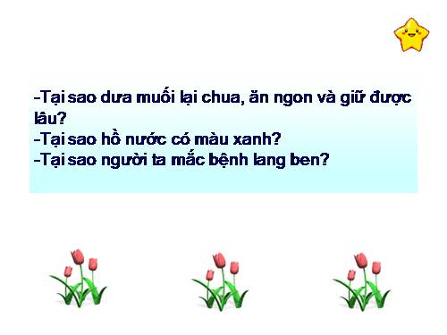 Bài 22. Dinh dưỡng, chuyển hóa vật chất và năng lượng ở vi sinh vật