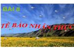 Bài 8. Tế bào nhân thực